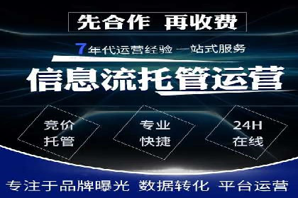 SEM广告投放的精准定位与优化案例